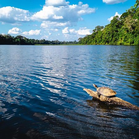 Tres Chimbadas Lake Lodge Tambopata Kültér fotó