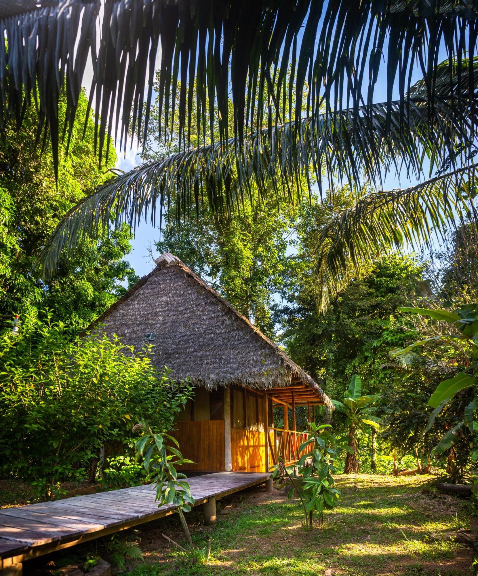 Tres Chimbadas Lake Lodge Tambopata Kültér fotó